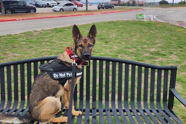 Northside ISD Cop Dog Bites Taft High Admin During Surprise Campus Sweep