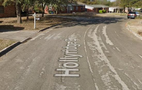 Northwest Side Yard Turns Bloodbath as Loose Dogs Maul Woman, Owner Hit With Citations