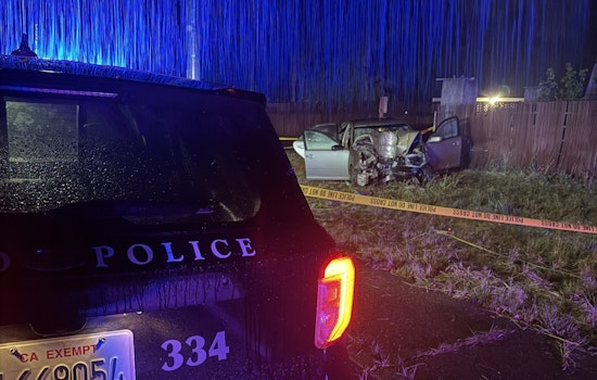 Novato Teen Dead, Four Hurt In Late-Night Suspected DUI Crash