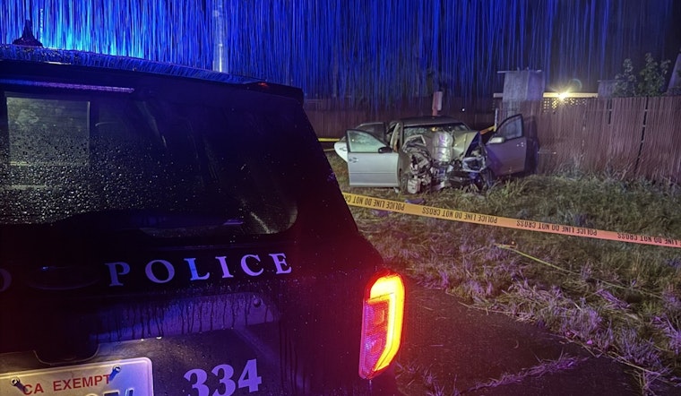Novato Teen Dead, Four Hurt In Late-Night Suspected DUI Crash