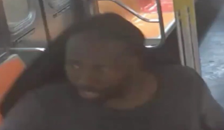 NYPD Hunts Subway Flasher Who Targeted Woman on 6 Train