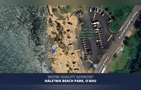 Oʻahu’s Haleʻiwa Beach Park Slammed With Surprise Bacteria Warning