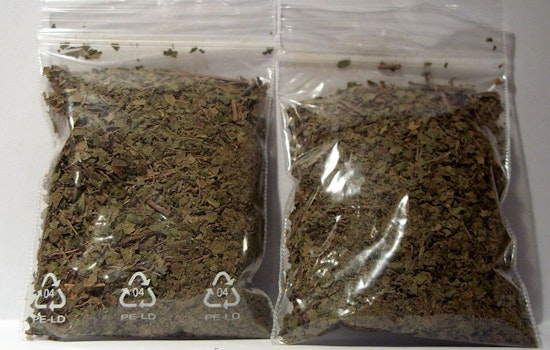 Ohio Slams Door on Lab-Made Kratom With Permanent Statewide Ban