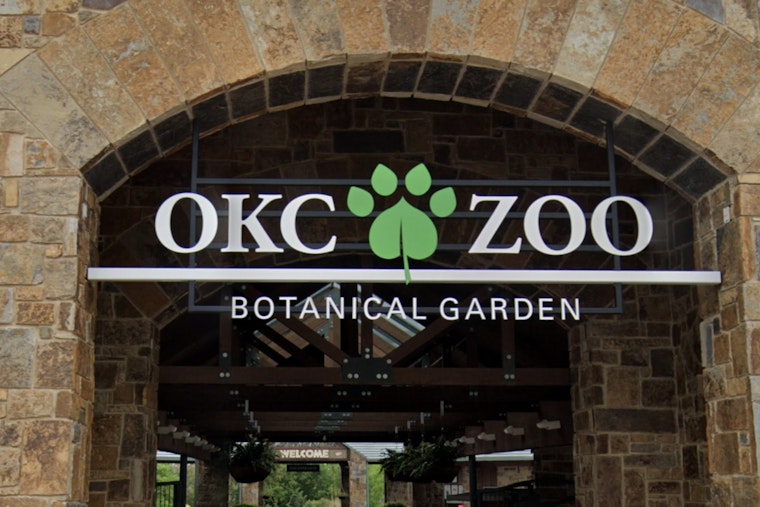 OKC Zoo Slips Giant Snapping Turtles Back Into Oklahoma Rivers