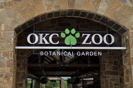 OKC Zoo Slips Giant Snapping Turtles Back Into Oklahoma Rivers