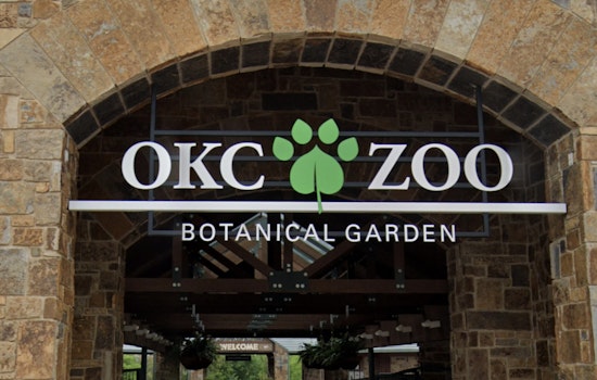 OKC Zoo Slips Giant Snapping Turtles Back Into Oklahoma Rivers