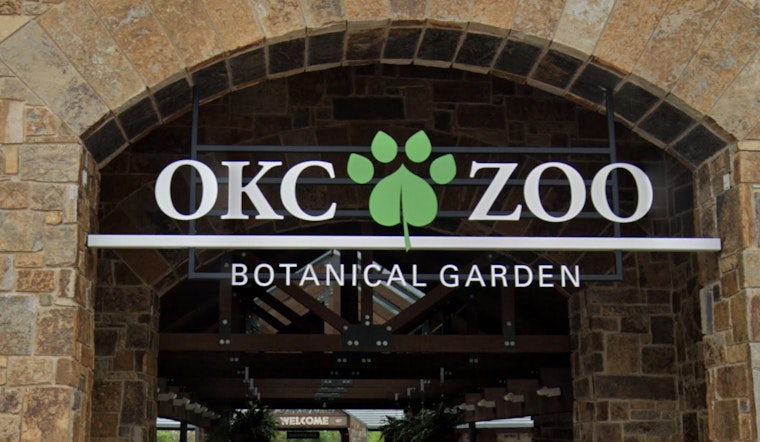 OKC Zoo Slips Giant Snapping Turtles Back Into Oklahoma Rivers