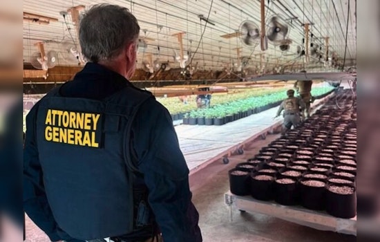 Oklahoma AG's Weed War: Nearly 59,000 Pot Plants Uprooted Near Tulsa