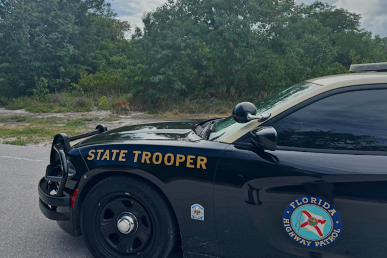 Old Lake Fern Road Head-On Crash Kills Davenport Driver