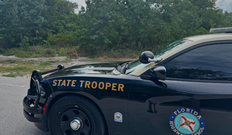 Old Lake Fern Road Head-On Crash Kills Davenport Driver