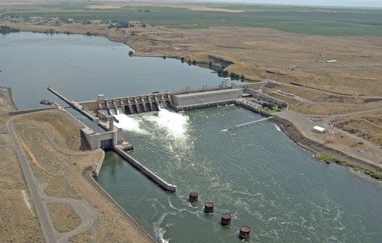 Oregon Judge Orders Columbia Dams To Open The Floodgates For Dying Salmon