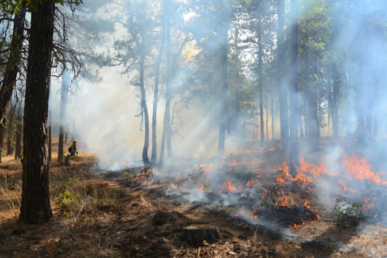 Oregon's Wildfire War Could Be Big Business
