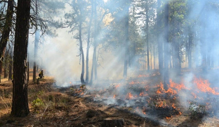 Oregon's Wildfire War Could Be Big Business