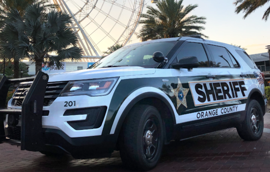 Orlando Man and Dog Beaten in Bizarre Mix-Up, Deputies Say