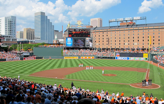 O's Skipper Crumpled By Foul Rocket In Camden Dugout Scare