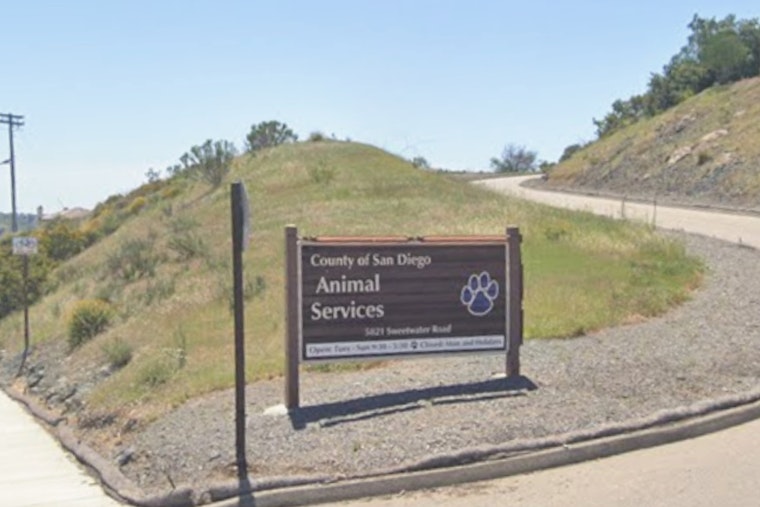 Ousted San Diego Shelter Official Hits County With $8.5 Million Claim