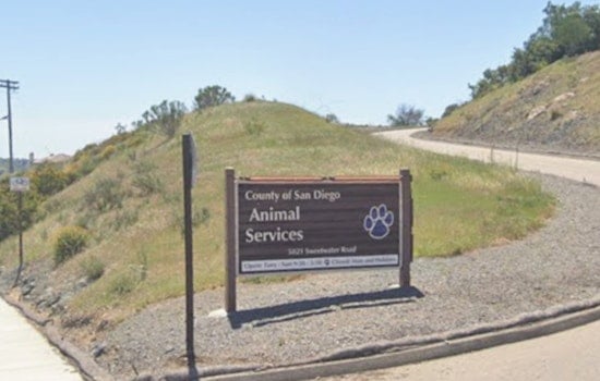 Ousted San Diego Shelter Official Hits County With $8.5 Million Claim