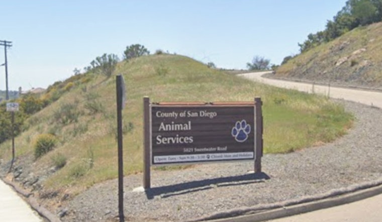Ousted San Diego Shelter Official Hits County With $8.5 Million Claim