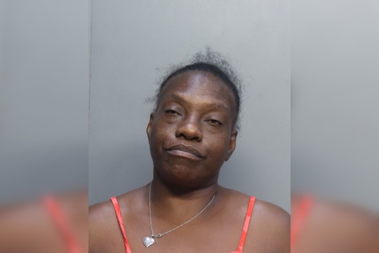 Palmetto Bay Drive Thru Meltdown: Woman Busted In McDonald’s Window Attack