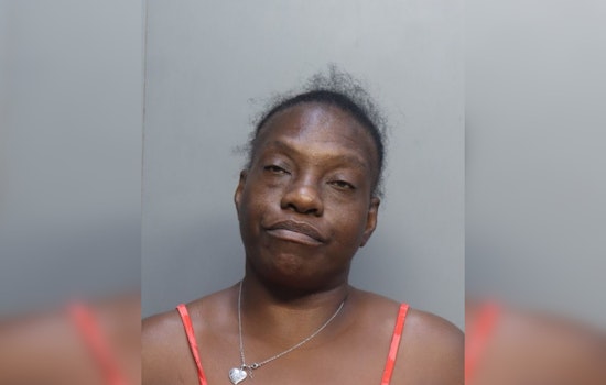 Palmetto Bay Drive Thru Meltdown: Woman Busted In McDonald’s Window Attack