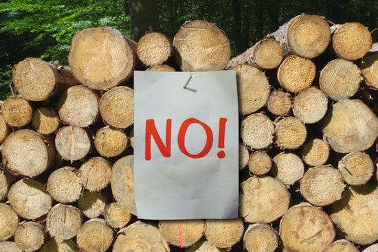 Panhandle Tree Trim Turns Into $50K City Smackdown