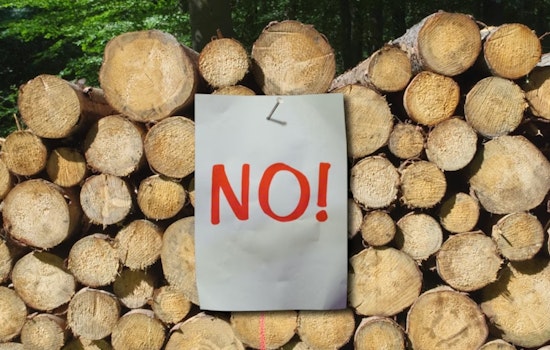 Panhandle Tree Trim Turns Into $50K City Smackdown