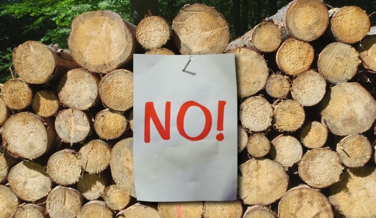 Panhandle Tree Trim Turns Into $50K City Smackdown