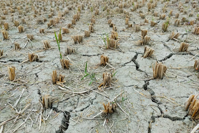 Parched Oklahoma Businesses Get Sba Lifeline As Drought Drags On