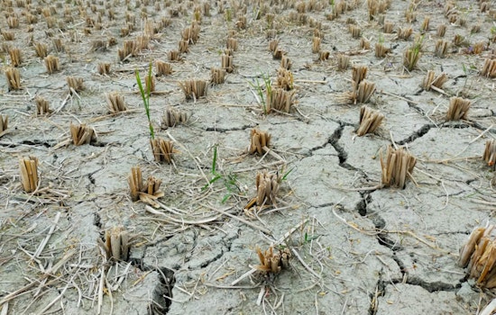 Parched Oklahoma Businesses Get Sba Lifeline As Drought Drags On