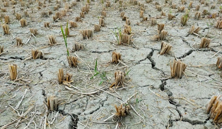 Parched Oklahoma Businesses Get Sba Lifeline As Drought Drags On