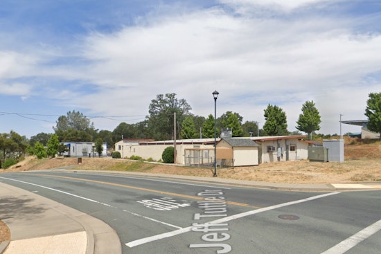 Parvo Scare Slams Brakes On New Dogs At Calaveras Shelter