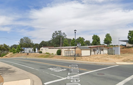 Parvo Scare Slams Brakes On New Dogs At Calaveras Shelter