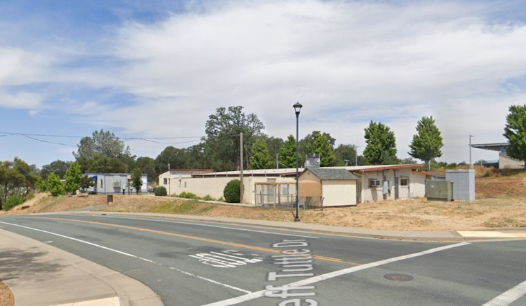 Parvo Scare Slams Brakes On New Dogs At Calaveras Shelter
