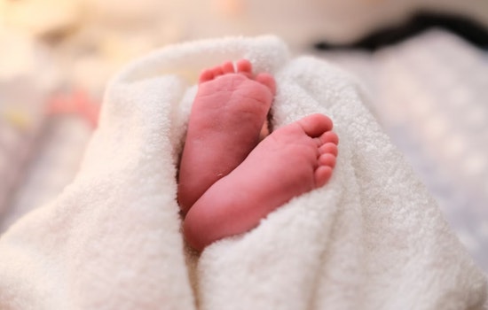 Philly Baby Mix-Up: Newborn Sent Home With Wrong Family And Courts Left It There