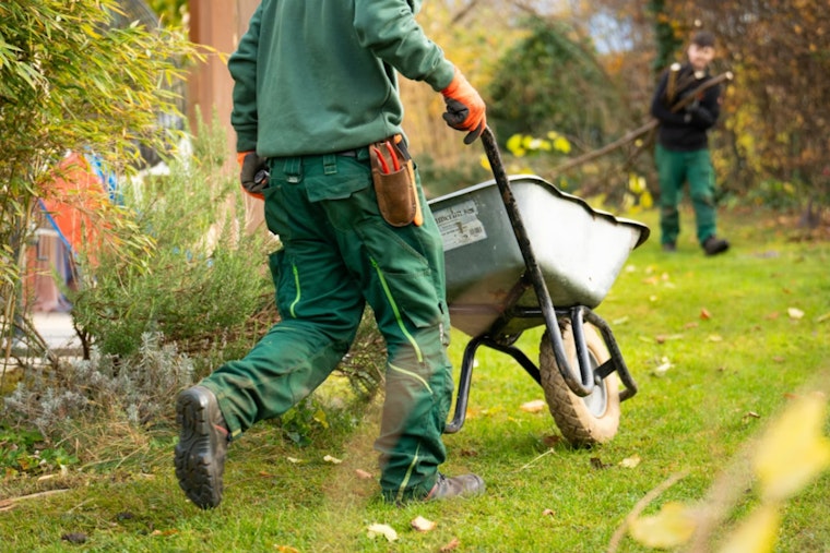 Philly Parks Puts Weed Killers On Notice After Herbicide Outcry