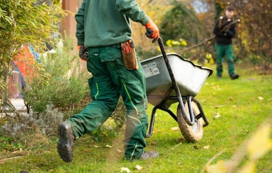 Philly Parks Puts Weed Killers On Notice After Herbicide Outcry