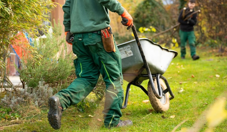 Philly Parks Puts Weed Killers On Notice After Herbicide Outcry