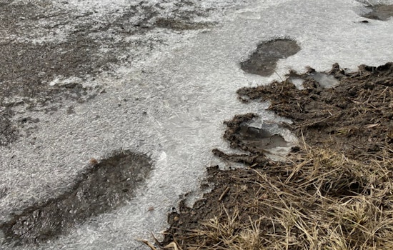 Philly Shivers As Spring Freeze Menaces Gardens, Pipes