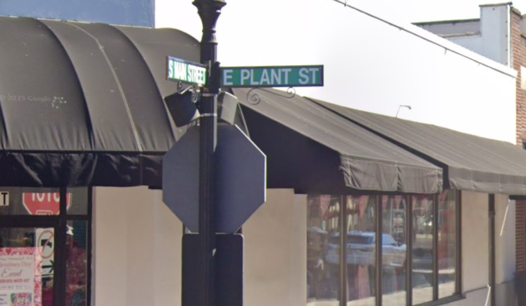 Plant Street Set To Pop As Spring Fever Takes Over Winter Garden