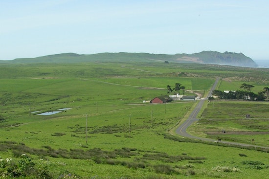 Point Reyes Ranchers Get the Boot as Park Shuts Down 167-Year Tradition