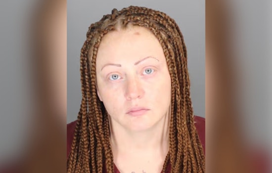 Pontiac Driver Gets Up To 40 Years For Deadly Woodward Hit-and-Run