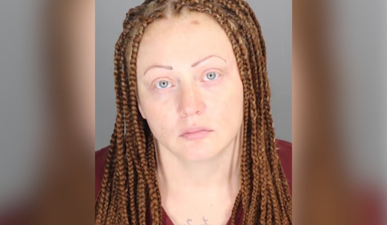 Pontiac Driver Gets Up To 40 Years For Deadly Woodward Hit-and-Run