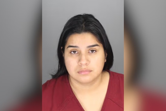 Pontiac Homebuyers Burned As Local Woman Takes No Contest Deal In Real Estate Scam