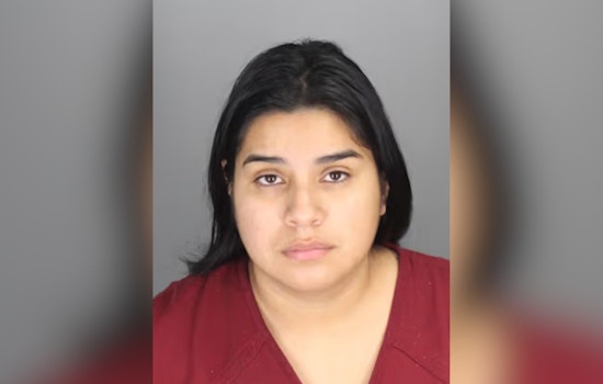 Pontiac Homebuyers Burned As Local Woman Takes No Contest Deal In Real Estate Scam