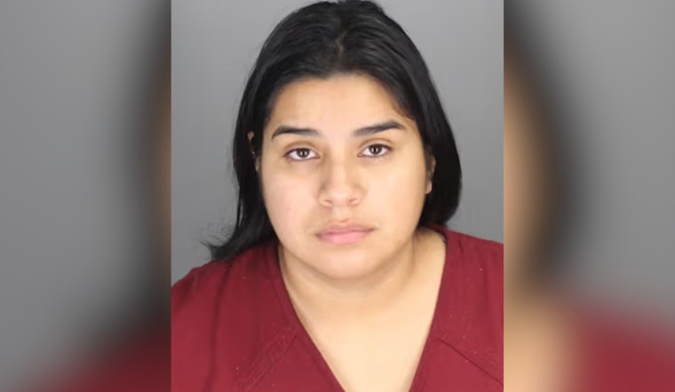 Pontiac Homebuyers Burned As Local Woman Takes No Contest Deal In Real Estate Scam