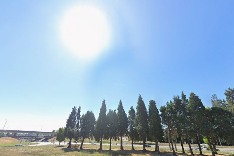 Portland Shivers At Sunrise, Basks By Lunch In Frosty Spring Flip