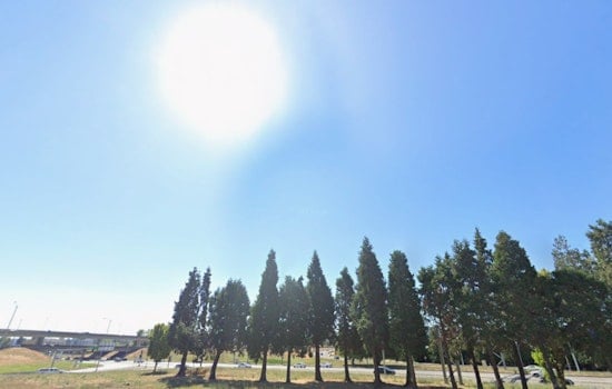 Portland Shivers At Sunrise, Basks By Lunch In Frosty Spring Flip