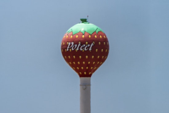 Poteet Strawberry Festival Feud Boils Over In Federal Court