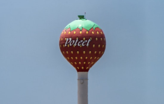 Poteet Strawberry Festival Feud Boils Over In Federal Court