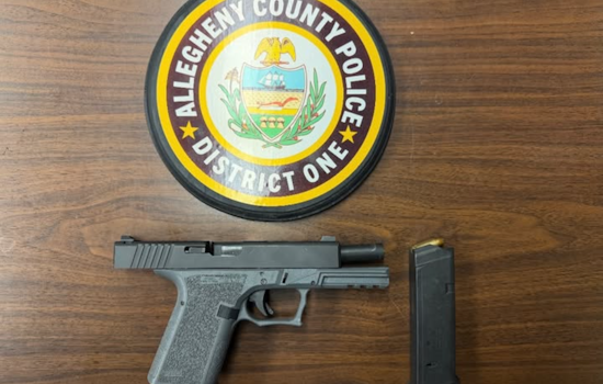 Pre-Dawn Gun Bust Snarls Pittsburgh Airport Checkpoint, Cranberry Man Charged